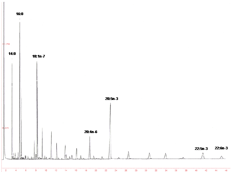 Типичная хроматограмма метиловых эфиров жирных кислот морского животного