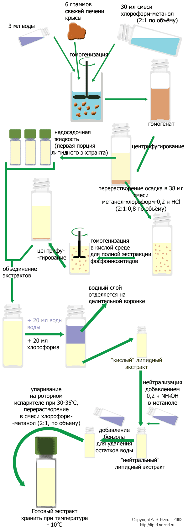 Схема экстракции общих липидов тканей животных