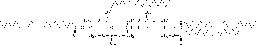 Дифосфатидилглицерин. Планарная формула.