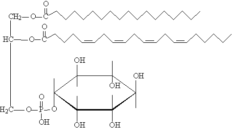 Фосфатидилинозит. Планарная формула.